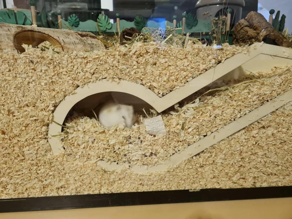 BAUSATZ *Klein* Watchbox für Kleinnager