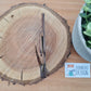 Geburtstagskuchen Geschenkeverpackung aus Holz für Geldgeschenk / Gutschein