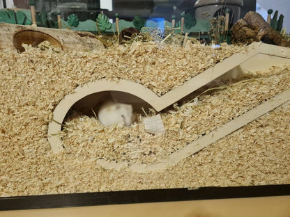 BAUSATZ *Groß* Watchbox für Kleinnager